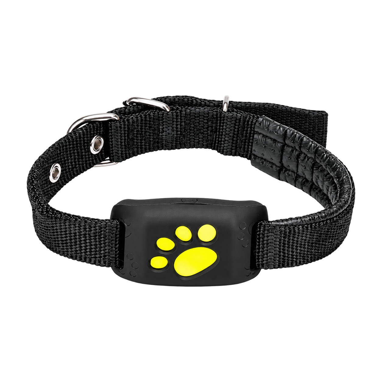 Traceur GPS pour chiens