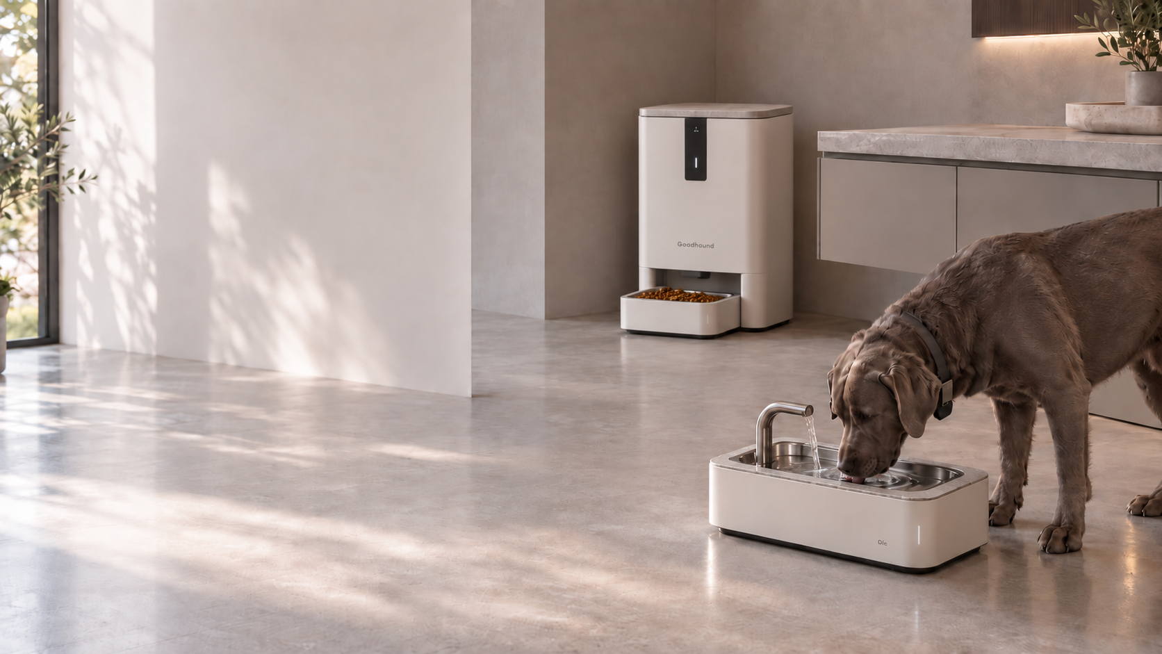 Alimentation et hydratation connectées pour chiens : scène GuardHound, distributeurs intelligents à doseur avec réserve de croquettes, fontaines à eau circulante, et un chien portant un collier d'identification individuelle